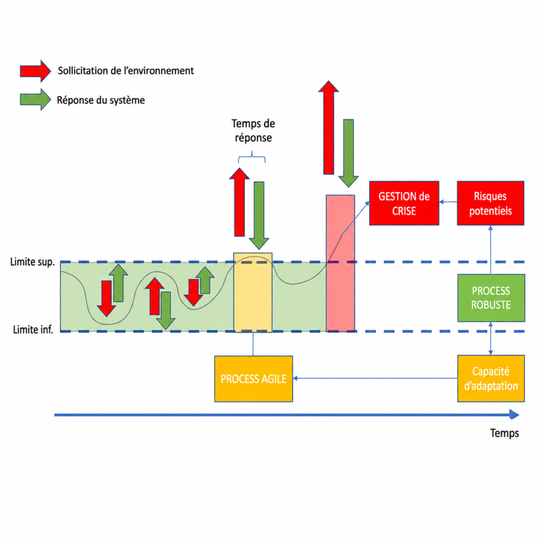1.3 Mécanismes systémiques et boucles de rétroaction